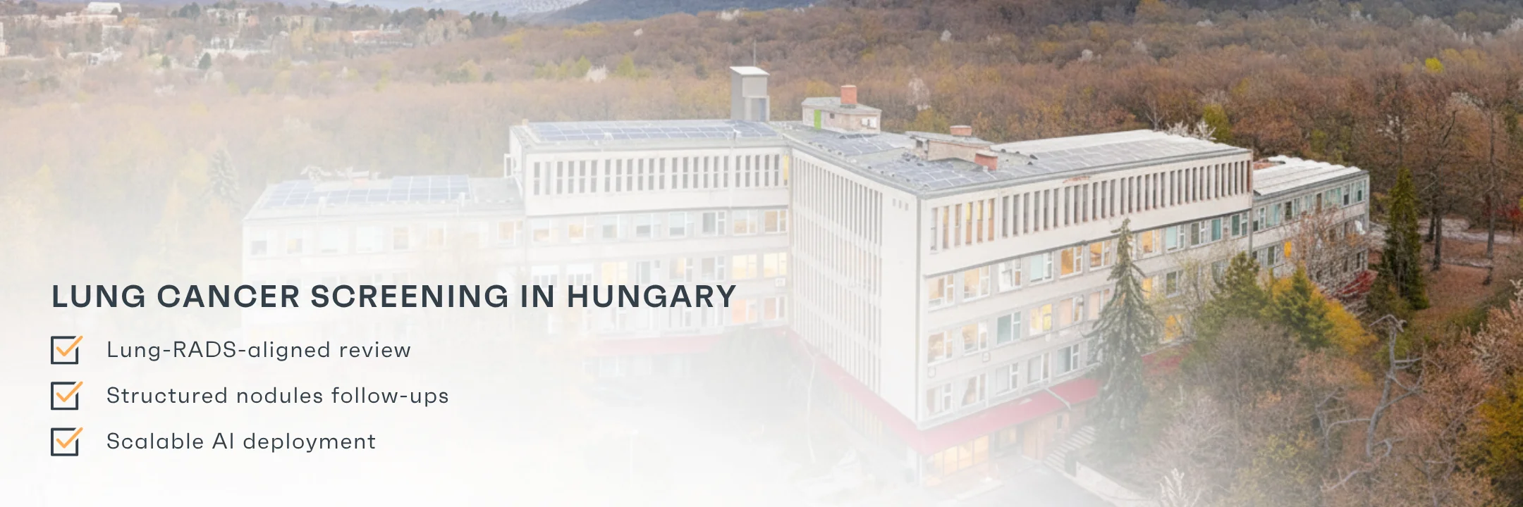 Lung cancer screening workflow value illustration